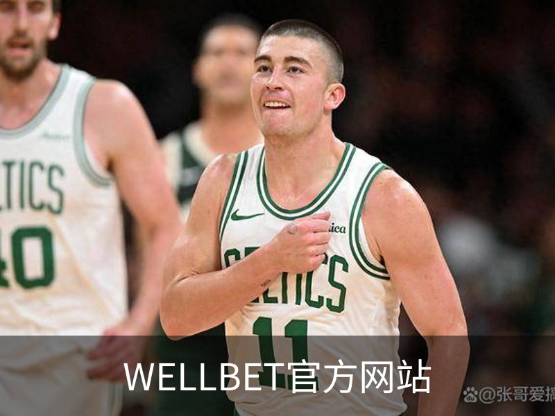 关于WELLBET官方网站